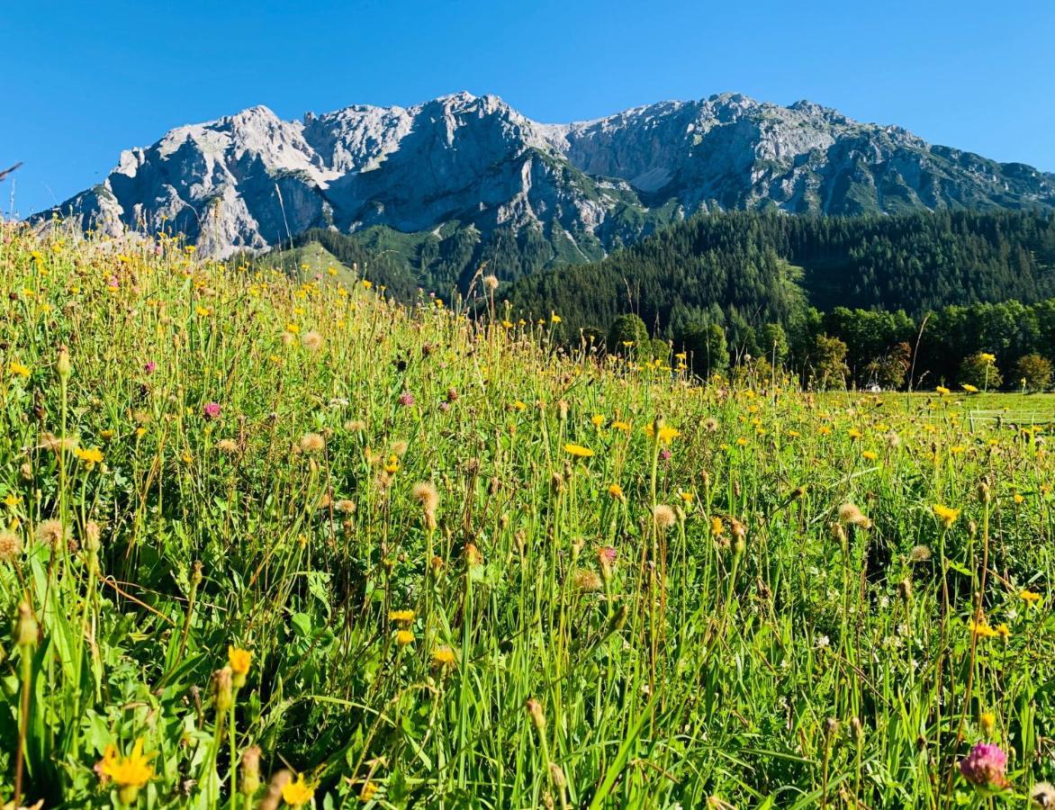 Bergkristallhaus Рамзау ам Дахщайн Екстериор снимка