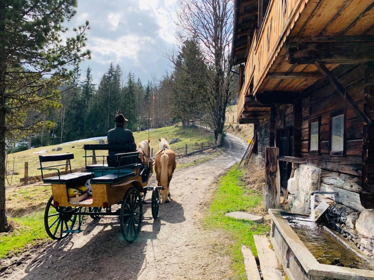 Bergkristallhaus Рамзау ам Дахщайн Екстериор снимка